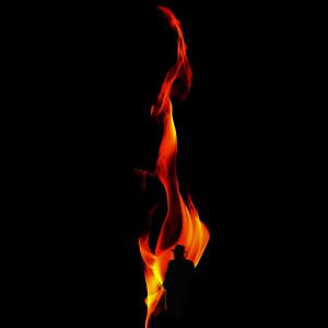 Bilder A Fall From Grace