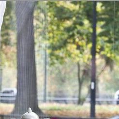 Bilder The Deadly Game