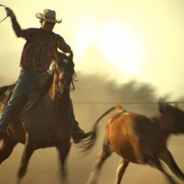 Bilder We Went to War