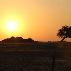 Bilder We Went to War