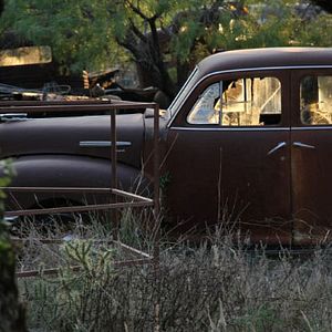 Bilder We Went to War