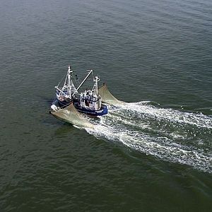 Bilder Die Elbe von oben