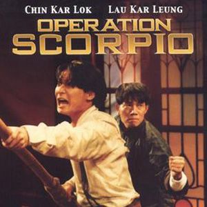 Bilder Shaolin Kickboxer