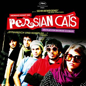 Bilder Niemand kennt die Persian Cats