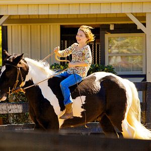 Bilder Glamour Girl im Pferdestall