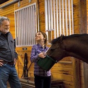 Bilder Glamour Girl im Pferdestall