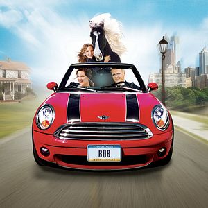 Bilder Glamour Girl im Pferdestall