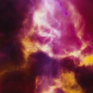 Bilder Ludovic Bornes