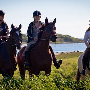 Bilder Sommer mit Kehilan