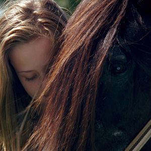 Bilder Sommer mit Kehilan