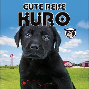 Bilder Gute Reise Kuro