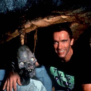 Bilder Geschichten aus der Gruft