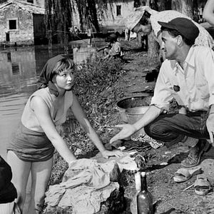 Bilder Tage der Liebe