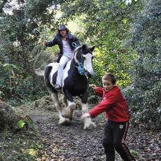 Bilder King of the Travellers