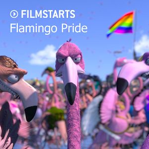 Bilder Flamingo Pride