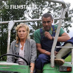 Bilder 24 Milchkühe und kein Mann