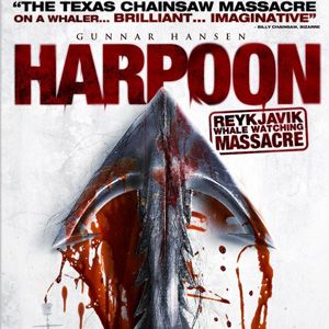 Bilder Reykjavik Whale Watching Massacre