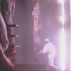 Bilder Entrée du personnel