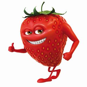 Bilder Ramon Tafraise