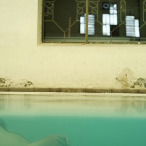 Bilder Carne De Perro