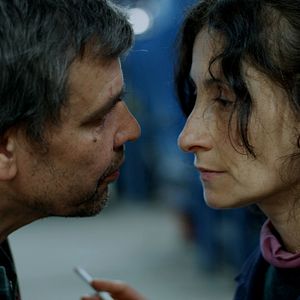 Bilder Amparo Noguera