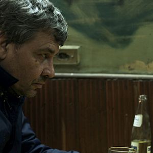 Bilder Carne De Perro