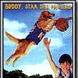 Bilder Air Bud – Champion auf 4 Pfoten