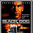Bilder Black Dog