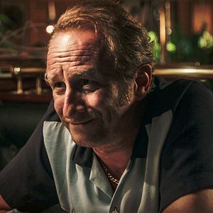 Bilder Les Rayures du zèbre