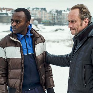 Bilder Les Rayures du zèbre