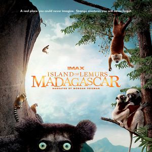 Bilder Insel der Lemuren - Madagascar