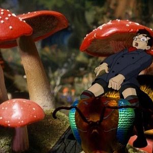 Bilder Entführung ins Elfenreich