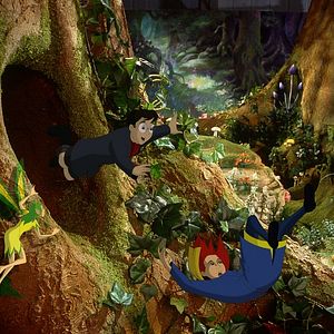 Bilder Entführung ins Elfenreich