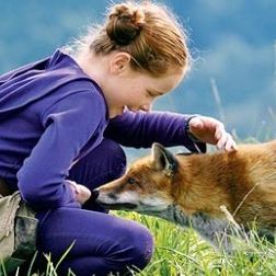 Bilder Der Fuchs und das Mädchen