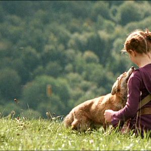 Bilder Der Fuchs und das Mädchen