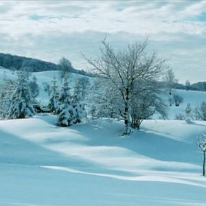 Bilder Der Fuchs und das Mädchen