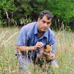 Bilder Der Fuchs und das Mädchen