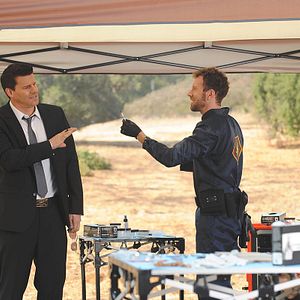 Bilder David Boreanaz