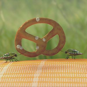 Bilder Die Winzlinge - Operation Zuckerdose