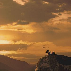 Bilder Die Winzlinge - Operation Zuckerdose