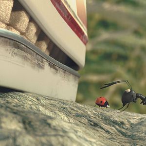 Bilder Die Winzlinge - Operation Zuckerdose