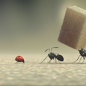 Bilder Die Winzlinge - Operation Zuckerdose