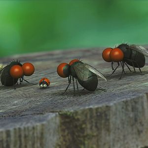 Bilder Die Winzlinge - Operation Zuckerdose