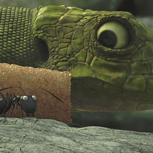 Bilder Die Winzlinge - Operation Zuckerdose