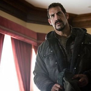 Bilder Matthew Willig