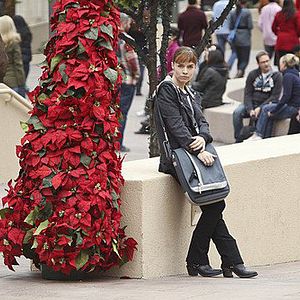 Bilder Renee Felice Smith