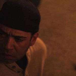 Bilder A Miracle in Spanish Harlem