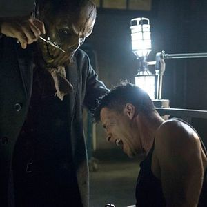 Bilder Colton Haynes