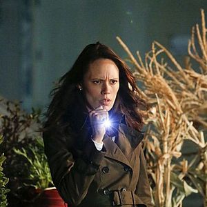 Bilder Emily Swallow