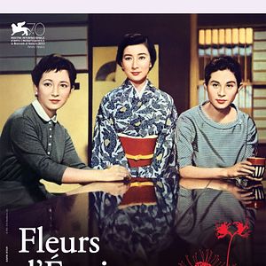 Bilder Sommerblüten